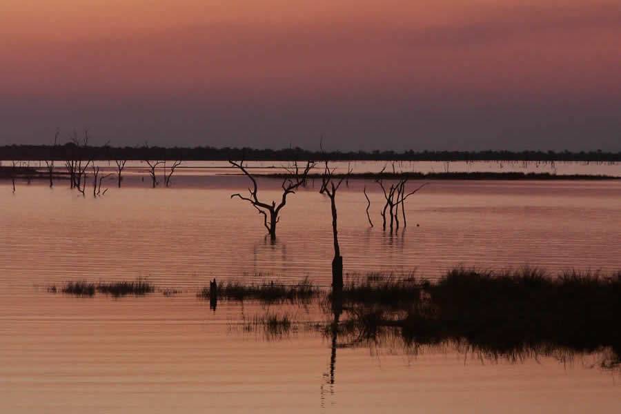 PICT0020     